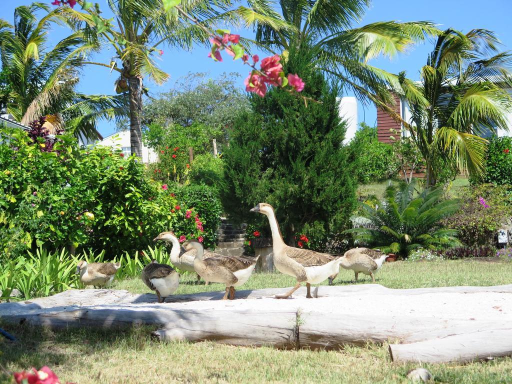 Residence Foulsafat Rodrigues Island エクステリア 写真