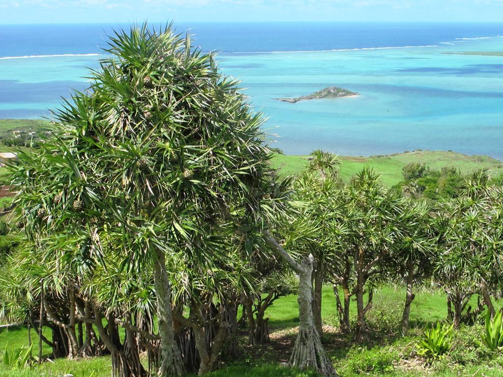 Residence Foulsafat Rodrigues Island エクステリア 写真